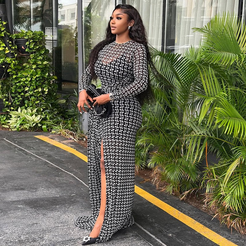 print mesh women’s dress
