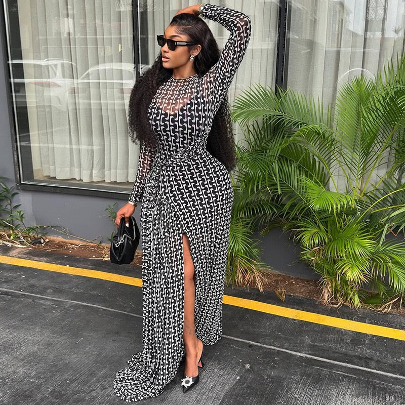 print mesh women’s dress